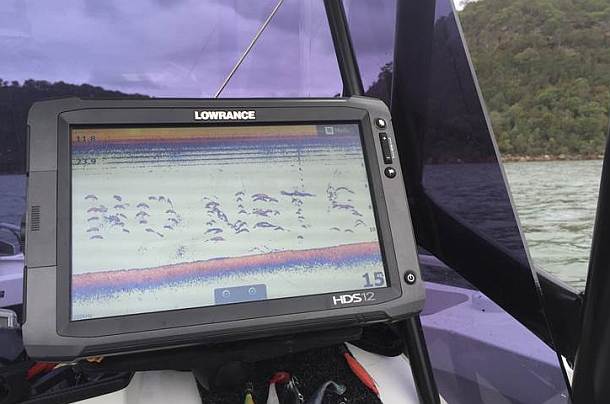 No Nets campaign launched in NSW